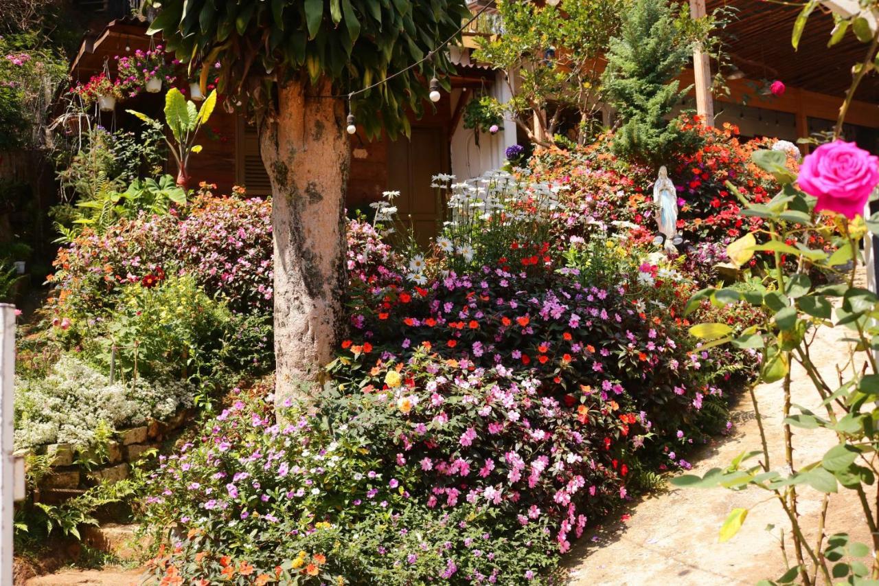 Soul Pnb Homestay Đà Lạt Ngoại thất bức ảnh