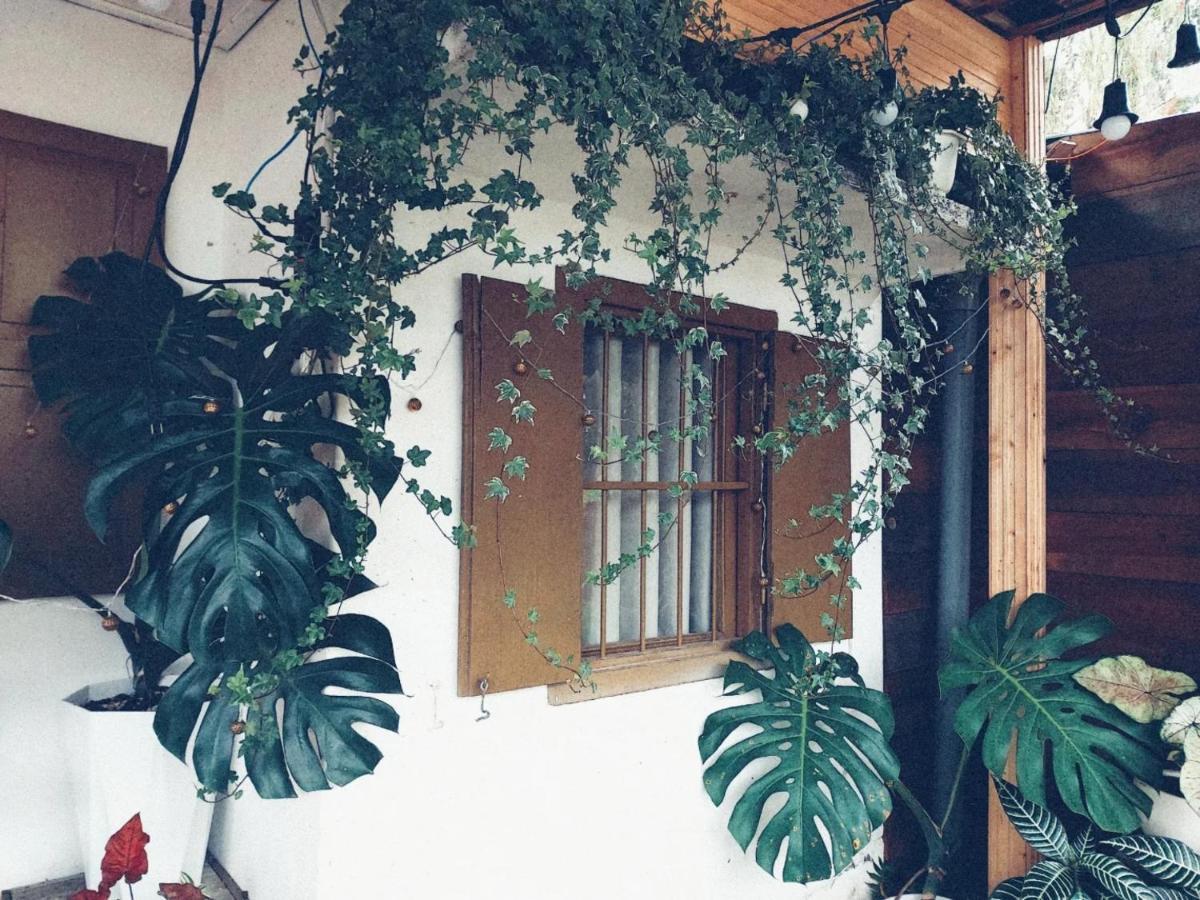 Soul Pnb Homestay Đà Lạt Ngoại thất bức ảnh